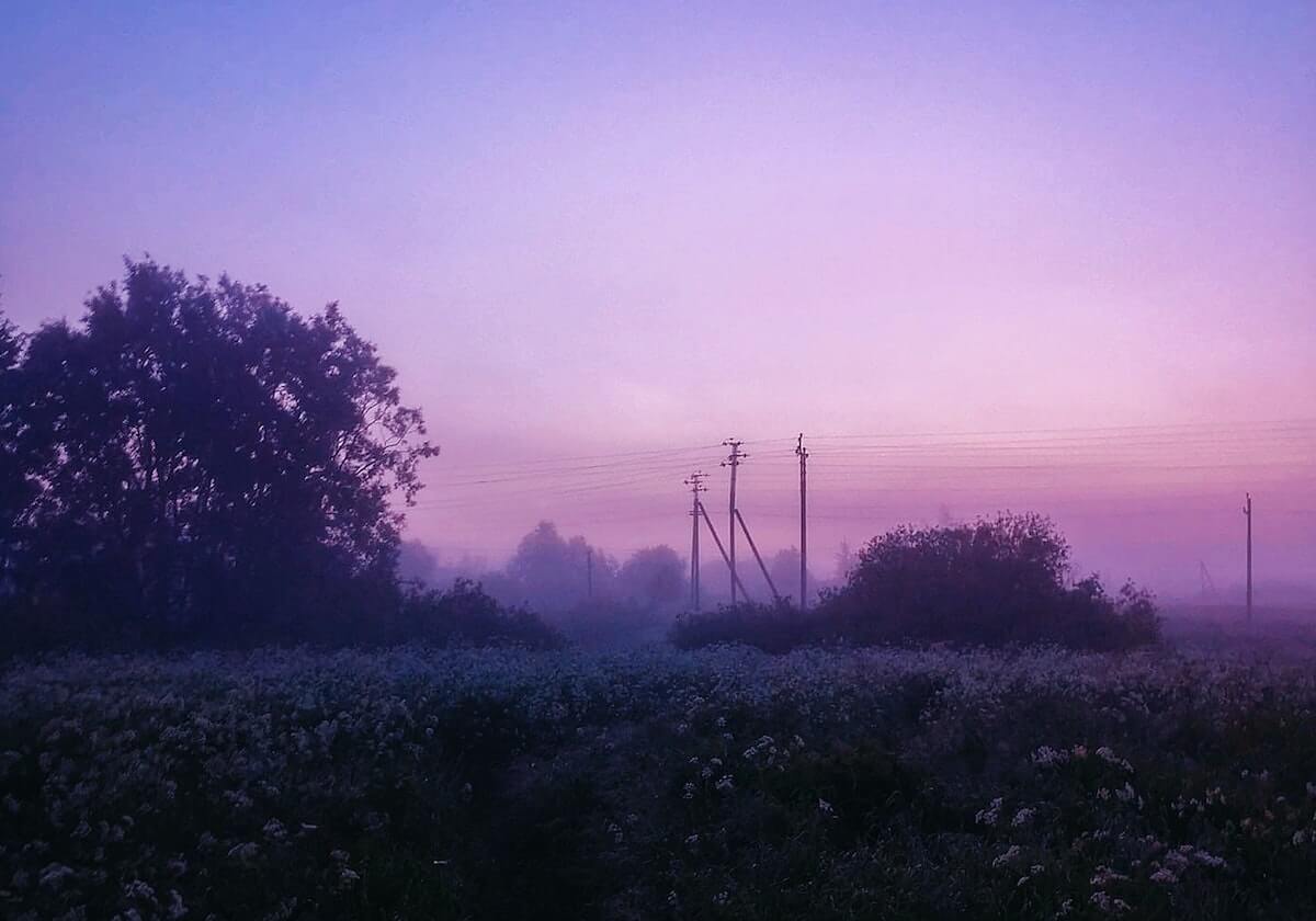 开云在线：把数字生活带进日常的每一个角落